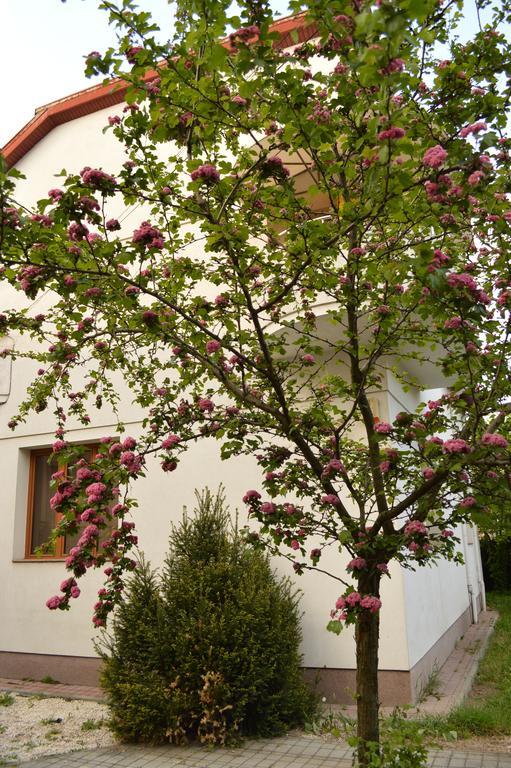 Exit Routine Hostel Timisoara Exterior foto